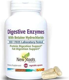 Digestive Enzymes with Ox Bile and Betaine HCl (100 Caps) Ox Bile Supplements for No Gallbladder with Papain & Pepsin A | Pancrease Cleanse & Detox - Pancreatin Digestion Enzymes for Women & Men