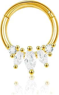 LunaLoop Hoop Nose Rings for Women Septum Nose Rings Gold Silver 16g Nose Piercings Jewelry 316L Surgical Steel Conch Rook Helix Piercing Jewelry CZ Cartilage Hoop Earring