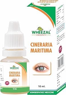 CINERARIA MARITIMA (PACK OF TWO)