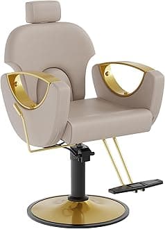 Salon Chair for Hair Stylist Barber Chair Hair Chair Styling Chair, Extra Thick Seat and Durable Steel Construction, Shampoo Salon Equipment