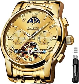 Self Winding Watches for Men Automatic Mechanical Skeleton Luxury Dress Waterproof Moon Phase Tourbillon Chronograph Stainless Steel Luminous Wristwatch