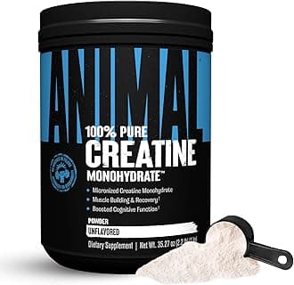 Animal Micronized Creatine – Delay Muscle Fatigue, Enhance Endurance, Boost Strength – Creatine Monohydrate Supplement for Men & Women – 1000g