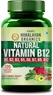 HIMALAYAN ORGANICS Plant Based Vitamin B12 Supplement | B1,B2,B3,B5,B6,B7,B9,Moringa| Boost Energy Level | Glowing Skin For Men & Women - 120 Vegetarian Capsules