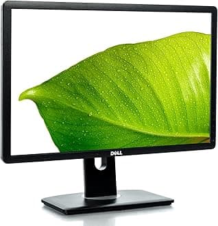 P2213 Professional 22'' LED-Backlit LCD Monitor, Black