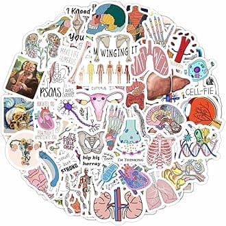 BulbaCraft Anatomy Stickers