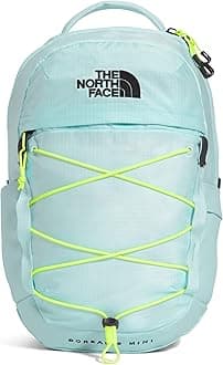 THE NORTH FACEBorealis Mini Backpack
