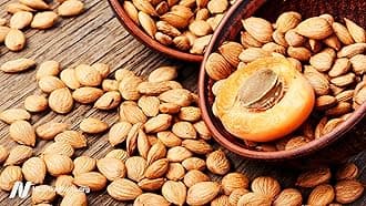 A D Food & Herbs Bitter Apricot Kernels Raw Unprocessed Fresh and Natural (20 GMS x Pack of 3)