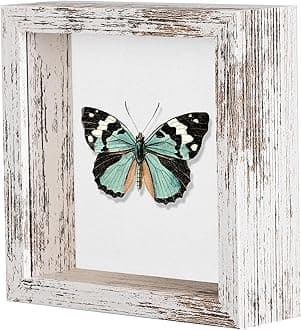 Califortree 5x5 Small Shadow Box Picture Frame with Soft Linen Back - Push Pins Included, Memory Shadow Box Display Case for Bouquet Awards Medals Wedding Photos and More, Rustic White